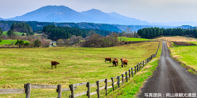 蒜山高原