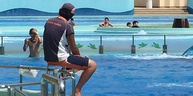 稼げます!