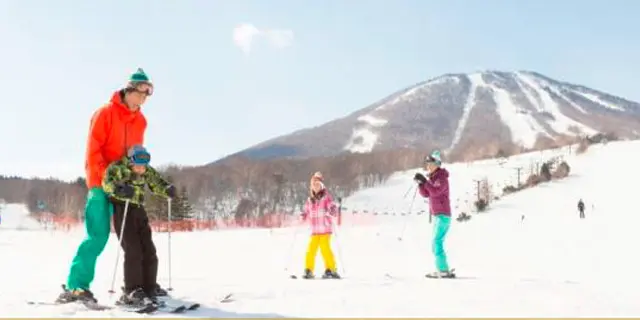 link-img01