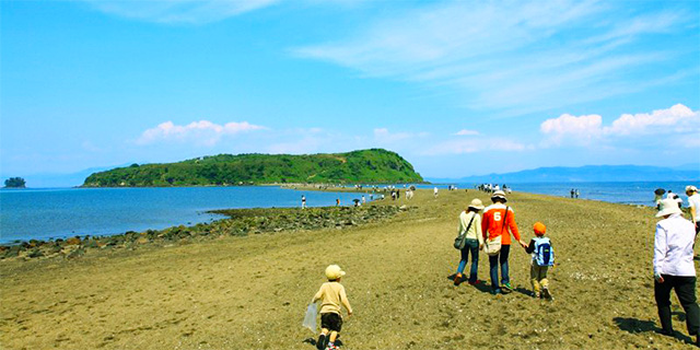 知林ヶ島