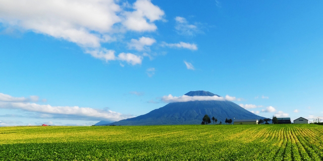 羊蹄山