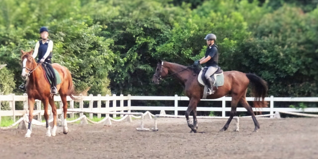 ニセコ乗馬ビレッジ