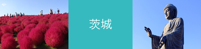 茨城県のリゾートバイト・エリア情報