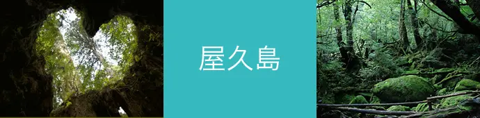 屋久島のリゾートバイト・エリア情報