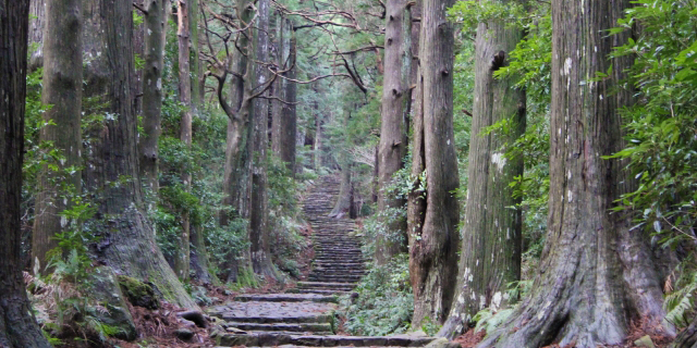 熊野古道