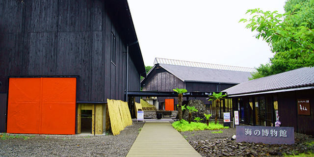 海の博物館