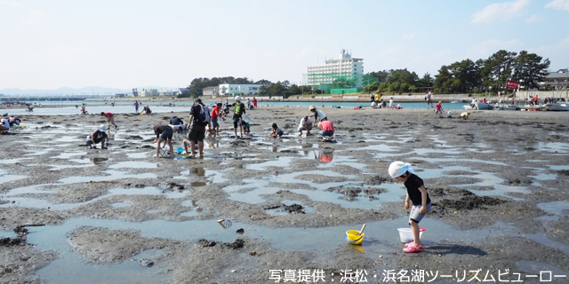 潮干狩り