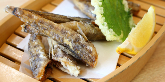蒲郡メヒカリ(アオエメソ)