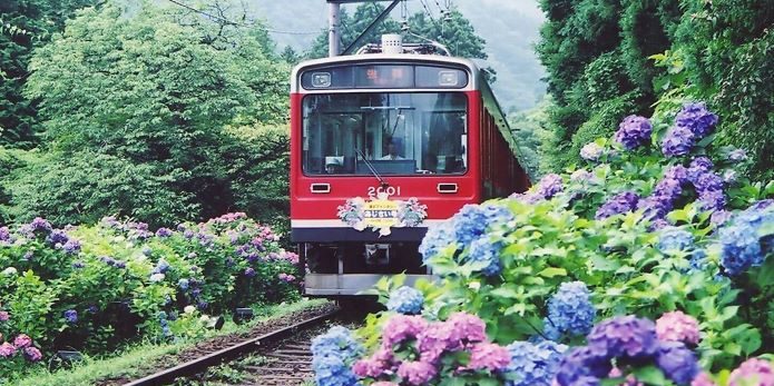 箱根登山電車