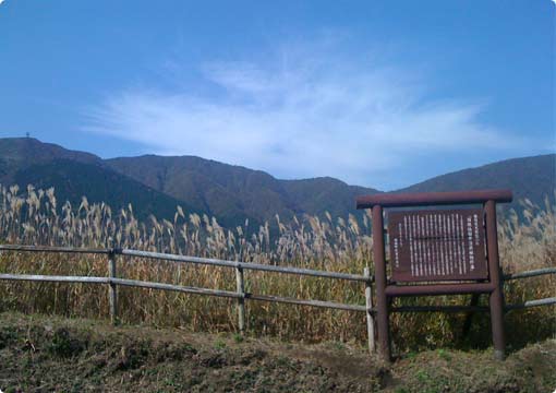 箱根の風景