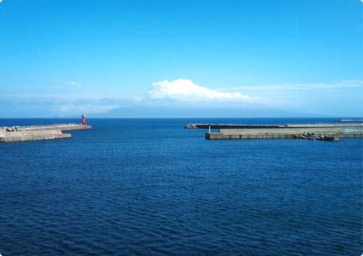 礼文島の風景
