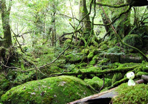 体験談　御岳/昼神温泉など