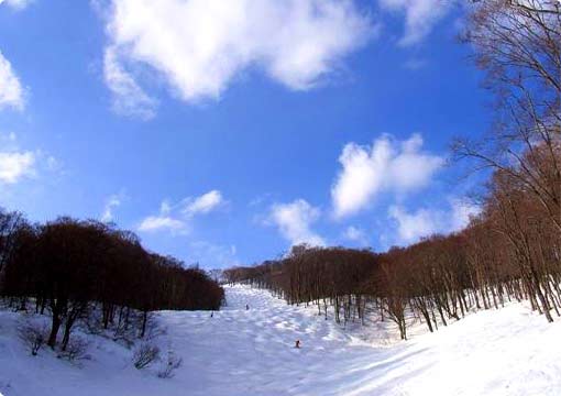 妙高高原の景色