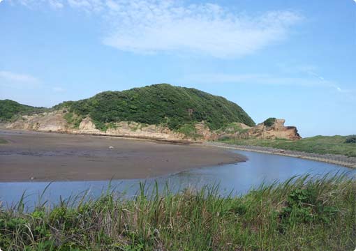 種子島の景色