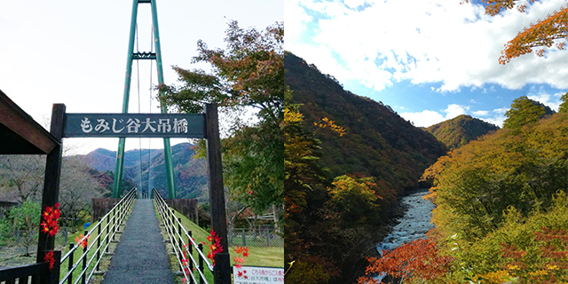 職場近くの自然