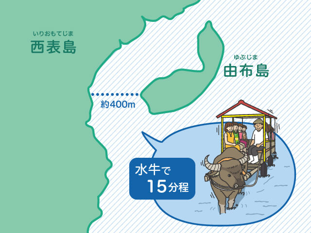 水牛に乗って通勤・・・!まるで非現実の世界!