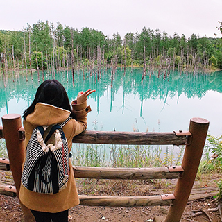 とても有名な美瑛の青池。毎日の天気によって色も変わるらしい！不思議な池だ。