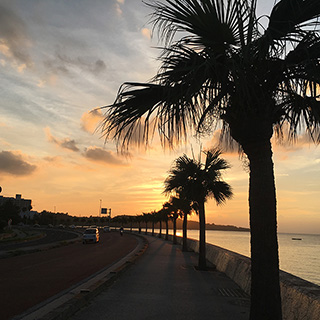 休みの日には、レンタカーで友達と一緒にお出かけしました。海沿いは気持ちいいですよ～