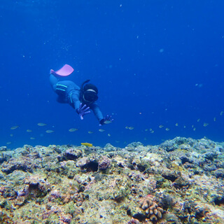 自前のフィンでシュノーケル♪沖縄の海は、透明度がとても高くて、泳いでいてめっちゃ気持ちが良い！泳ぎはわりと得意です！