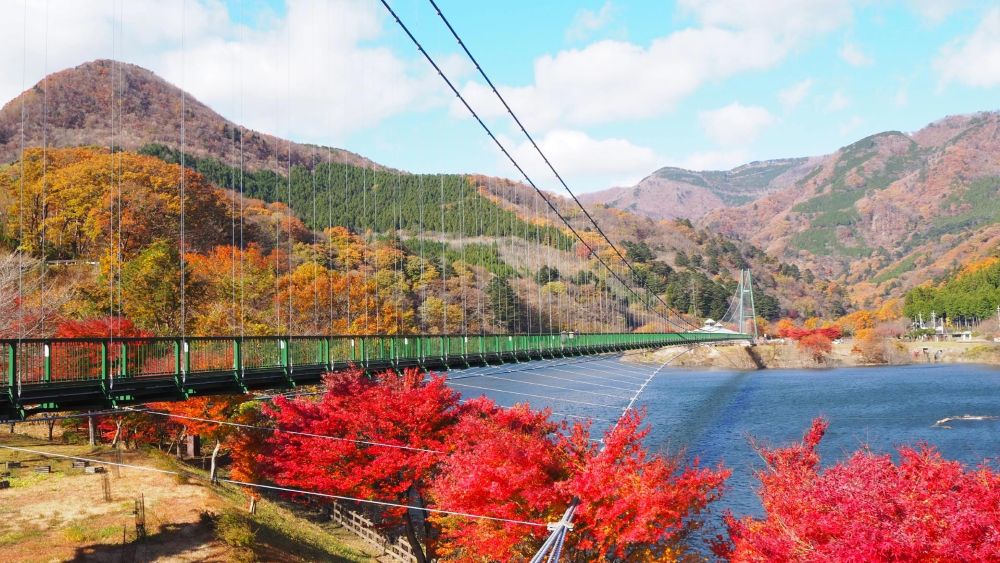 栃木県の紅葉