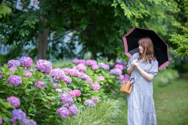6月のリゾートバイトの特徴と観光もできるおすすめリゾート地