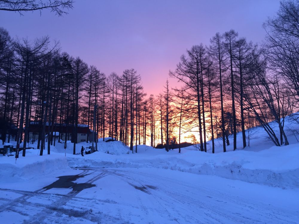 朝焼けのスキー場