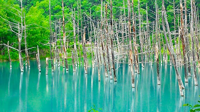 冬の北海道観光&グルメ情報