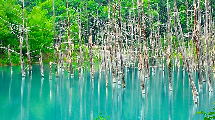 冬の北海道観光＆グルメ情報