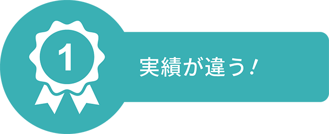 実績が違う