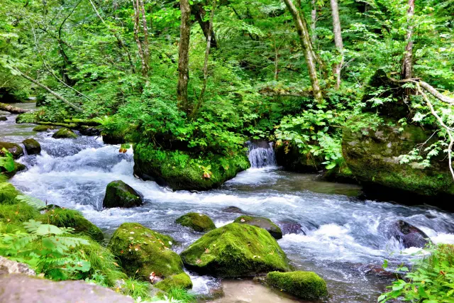 青森県奥入瀬