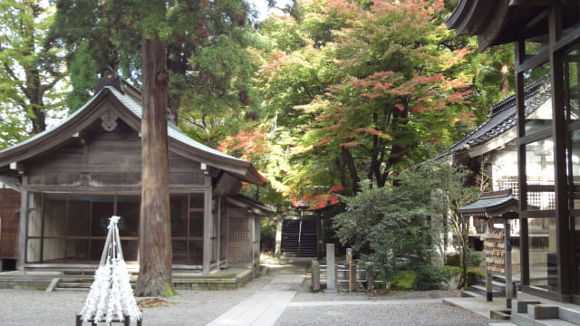 金劔宮神社