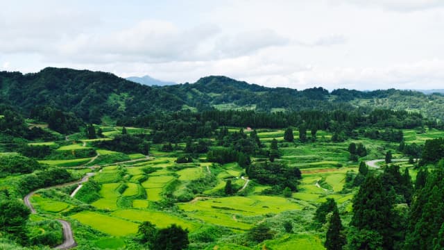 松之山温泉がある十日町市の風景