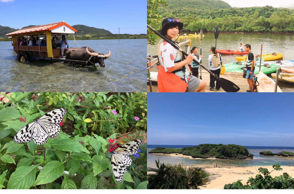 西表島