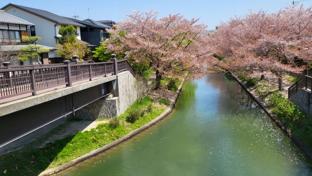 京都府伏見であい橋