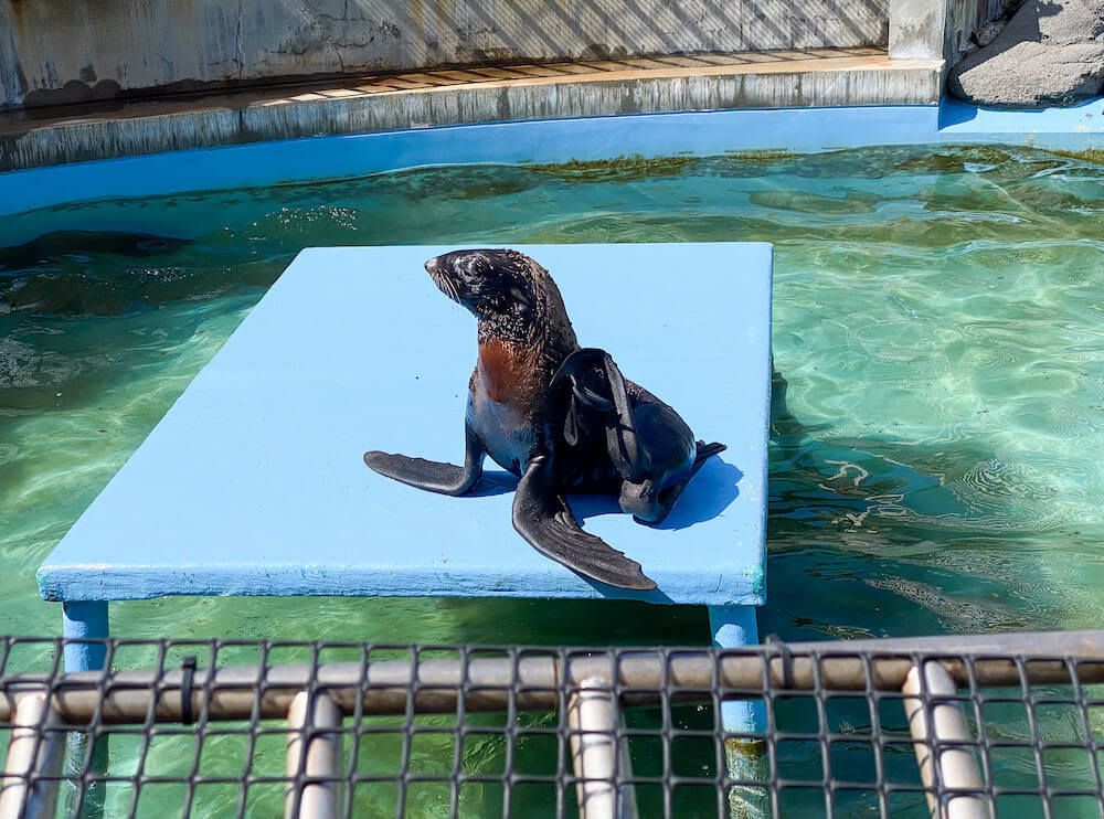 水族館