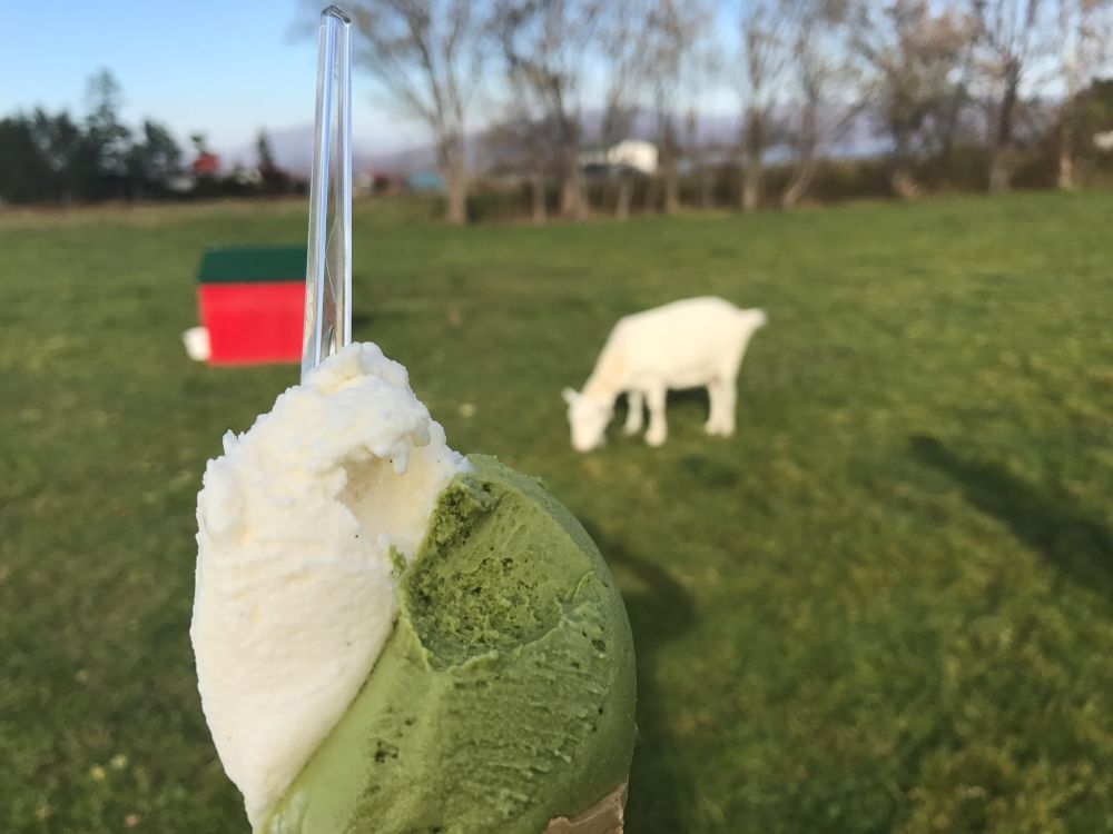 Lake Hill Farmのジェラート