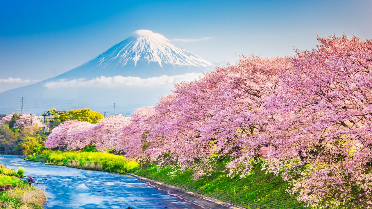 国内旅行しながら働く夢を叶えよう