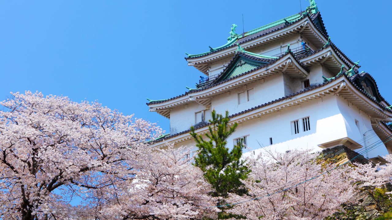 日本全国飛び回る仕事をしてみたいならリゾバ.com