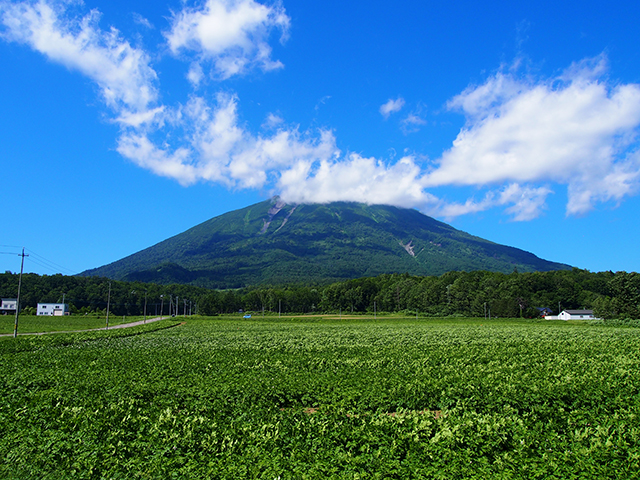 夏のニセコ