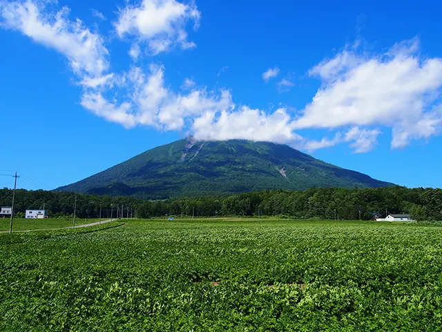 夏のニセコ