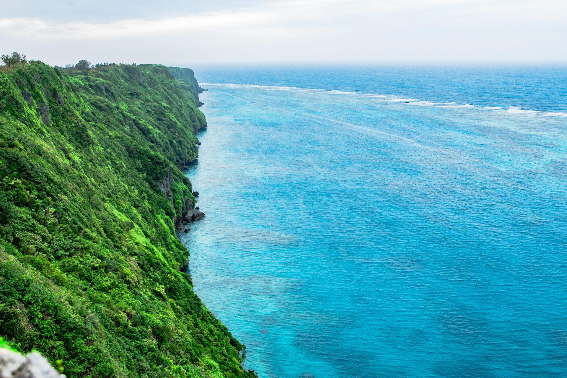 海
