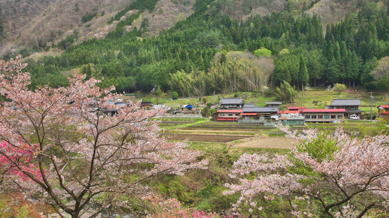 移住失敗に関するよくある質問