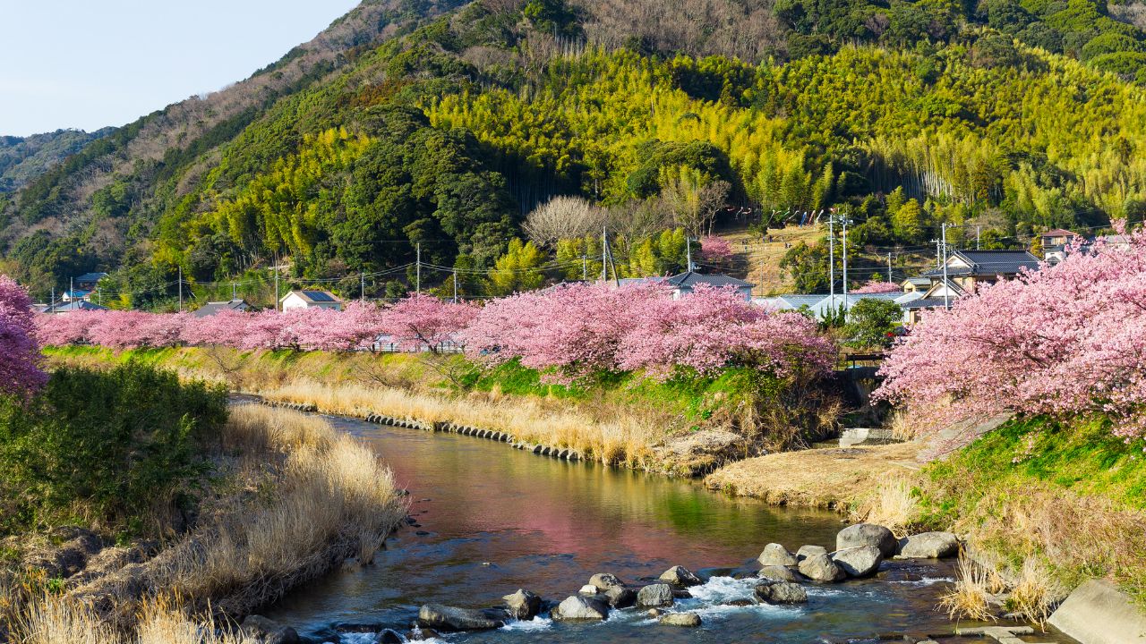移住先のおすすめの選び方