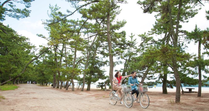 天橋立 サイクリング