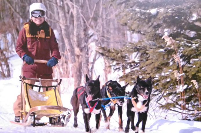 雪の中を爽快に風を切る「犬ぞり体験」