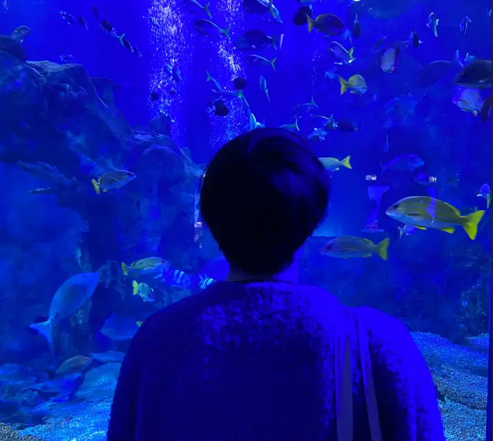 E・Kさん（20代前半）