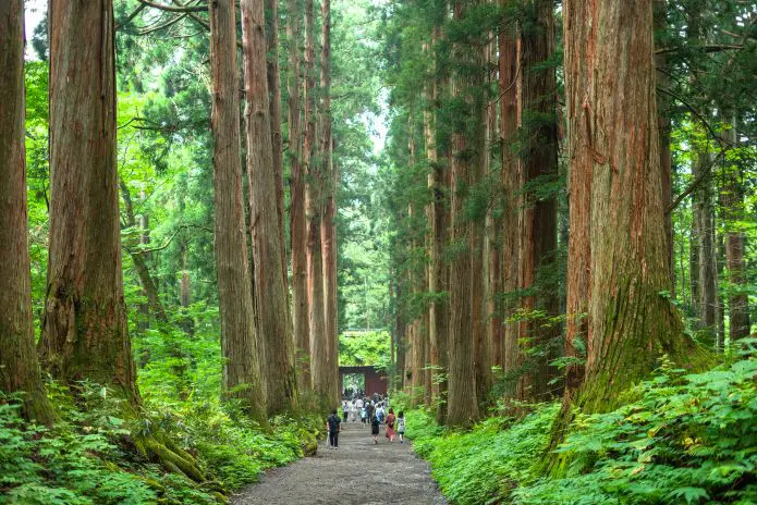 戸隠神社