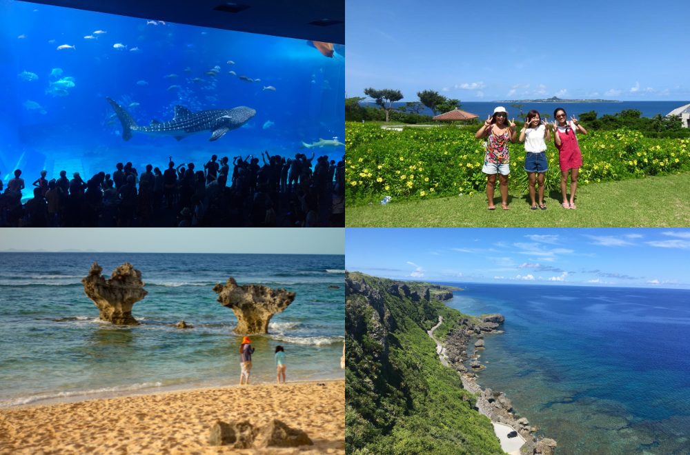 北部エリア　沖縄