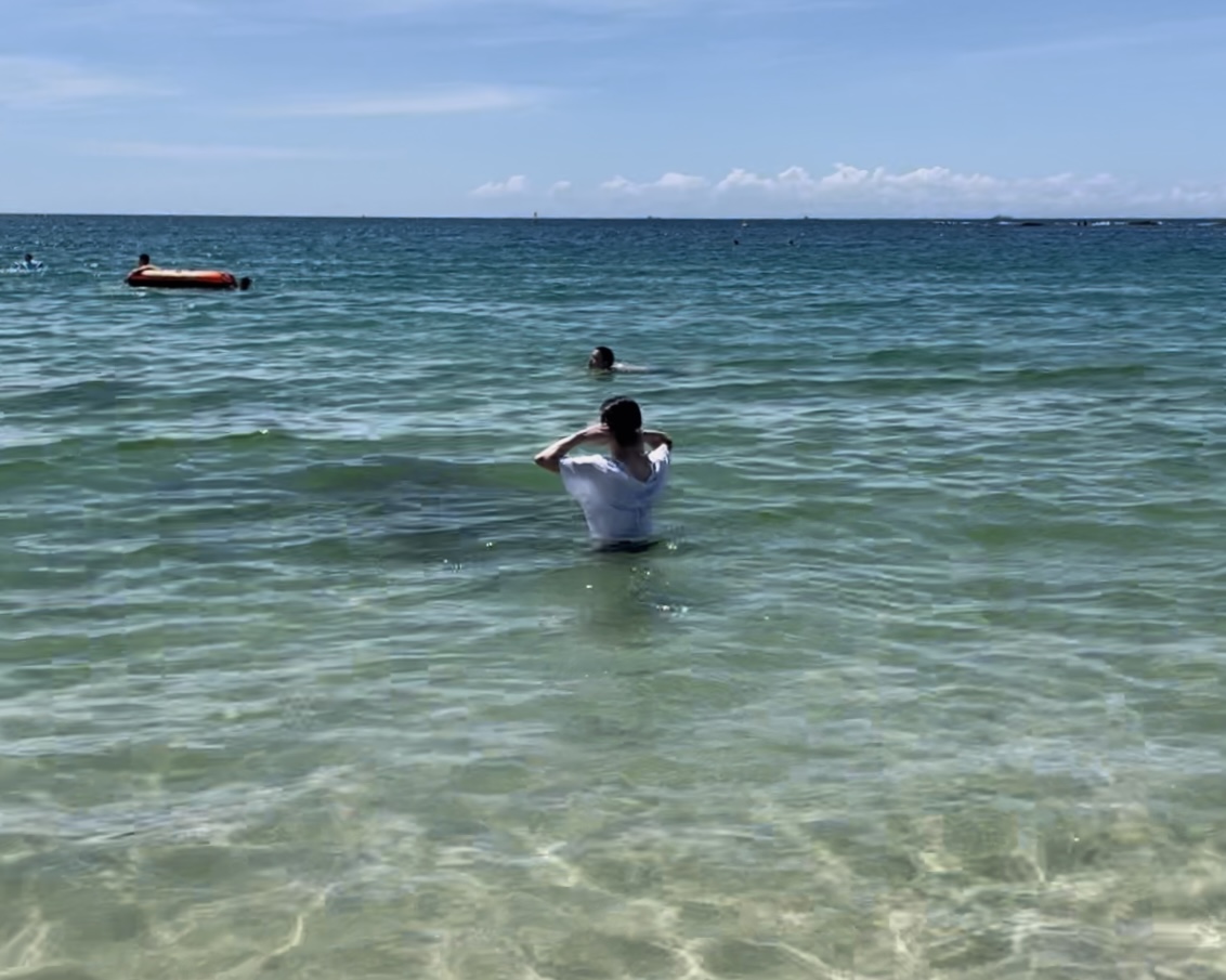 海