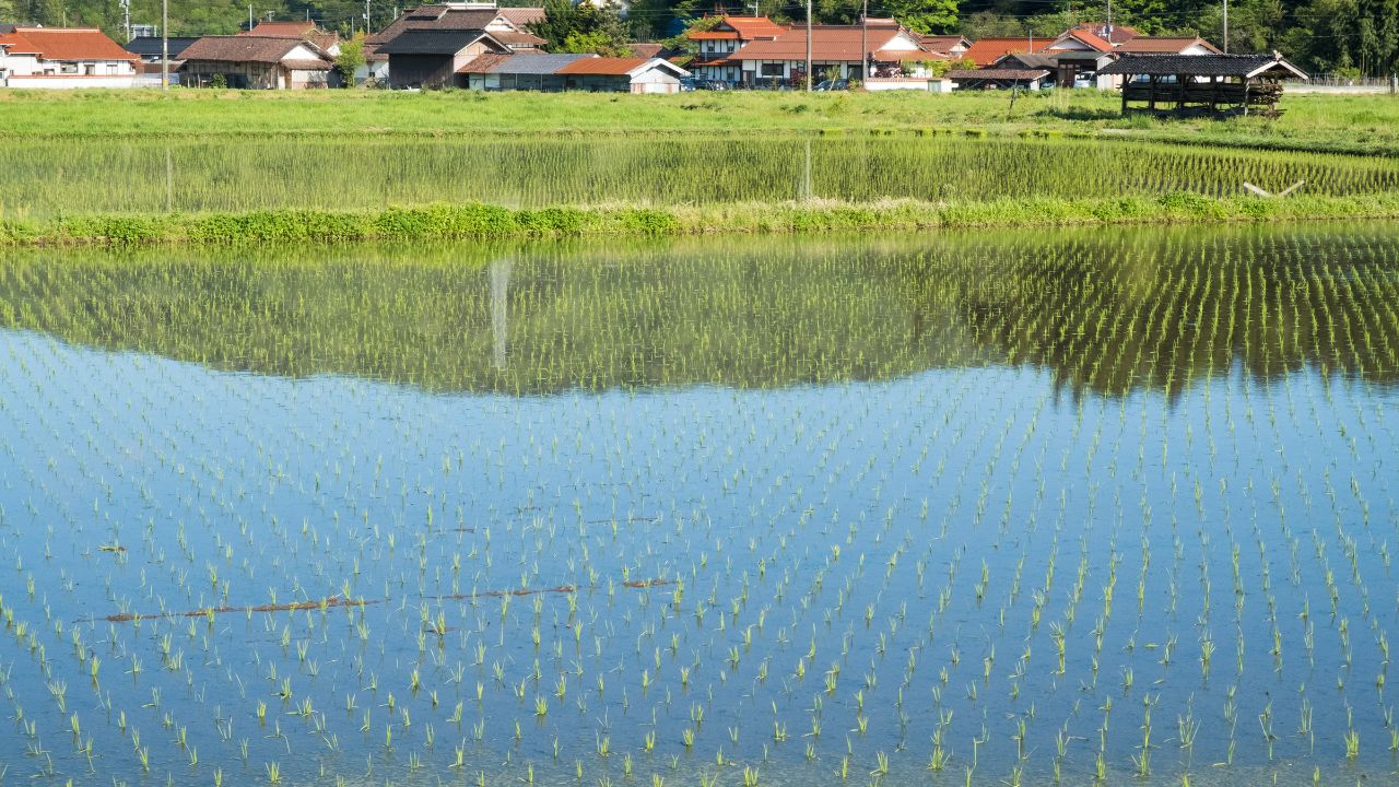 おすすめの移住支援制度
